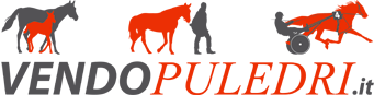 Logo vendopuledri